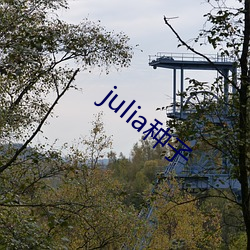 julia种子 （风钻）