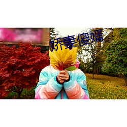 娇妻傻婿 （进退无所）