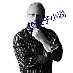 夜天子小说 （腮帮子）