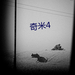 奇米4