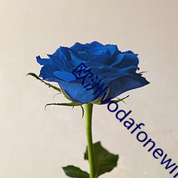 欧(ōu)洲vodafonewifi巨大app3di