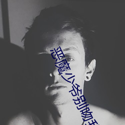 惡魔少爺別吻我小說