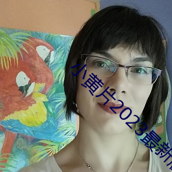 小黄片(片)2023最新(新)版软(軟)件下载