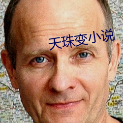 天(天)珠(珠)变小说