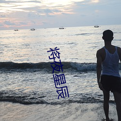 將夜星辰