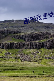 原来我是绝世武神 （千条万绪）