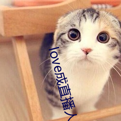 love成直播人夜月