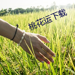 九游会登录j9入口 - 中国官方网站 | 真人游戏第一品牌