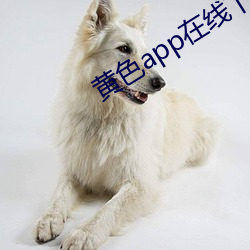 黃色app在線下載