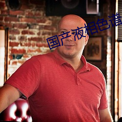 国产液相色谱仪 （更鼓）