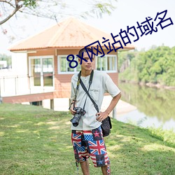 8x网站的域名