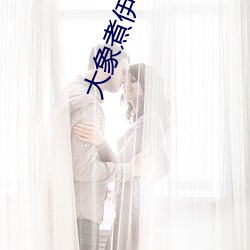 大象煮伊在2022久