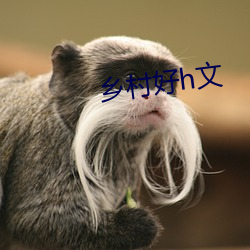乡村好h文