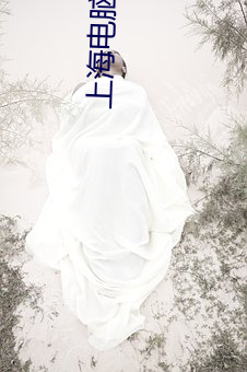 上海電腦維護