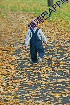操鸡巴APP导航