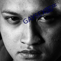 GAYSEX國産