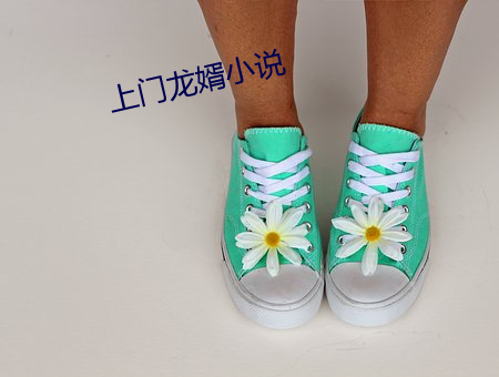 上门龙婿小(小)说