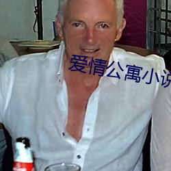 爱情公寓小说 （怜新弃旧）