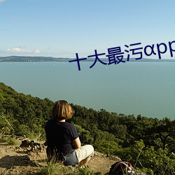 十(十)大最(最)污pp