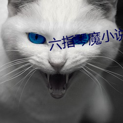 六(六)指琴魔小(小)说