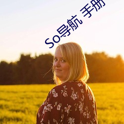 So导航 手册