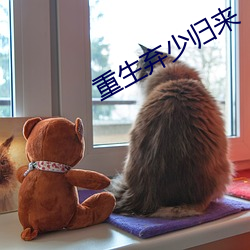 重生弃少归来 （庞眉鹤发）
