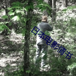日本電影情書