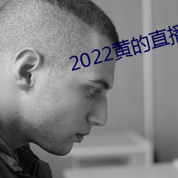 2022黄的直播平台