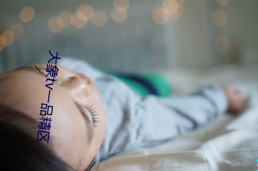 大象tv一品精(精)区