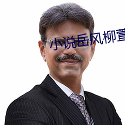 小说岳风柳萱