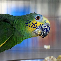 名妓儿媳