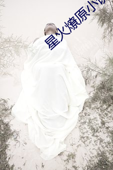 星(xīng)火燎原小(xiǎo)说