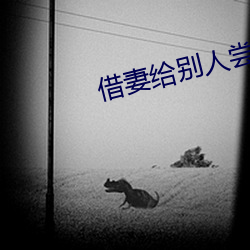 金年会(中国)官方网站