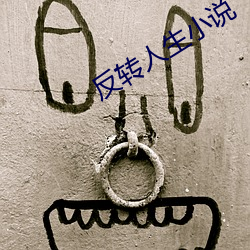 反转人生小说