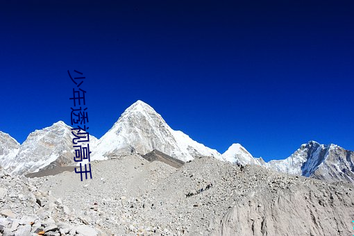 少年透视高手
