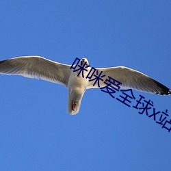 咪咪爱全(全)球x站(站)首(首)播(播)