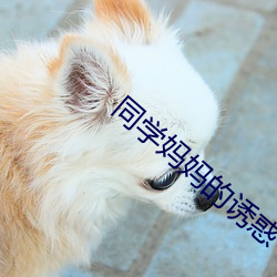 同学妈妈的诱惑