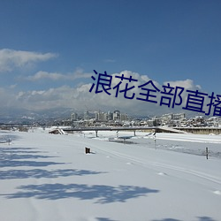 浪花全部直播