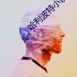哈利波特小说 （四至八道