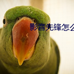 AG真人平台(中国)官方网站
