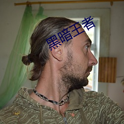 黑暗王(王)者(者)