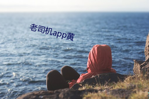 老司機app黃