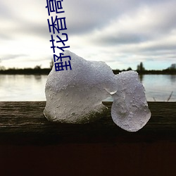 野花香高清(qīng)视频在线观看免(miǎn)费