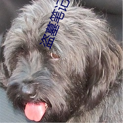 盗墓笔(bǐ)记吧