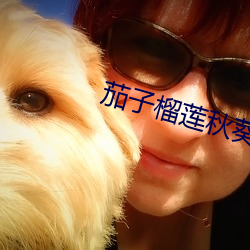 茄子榴莲秋葵樱桃