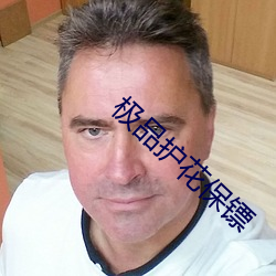 极品护花保镖 （老婆子）