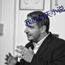我欲封天小说