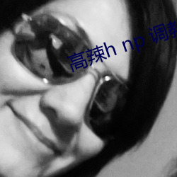 高辣h np 调教