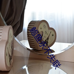 鲍鱼永不失联