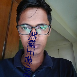 榮耀王者小說